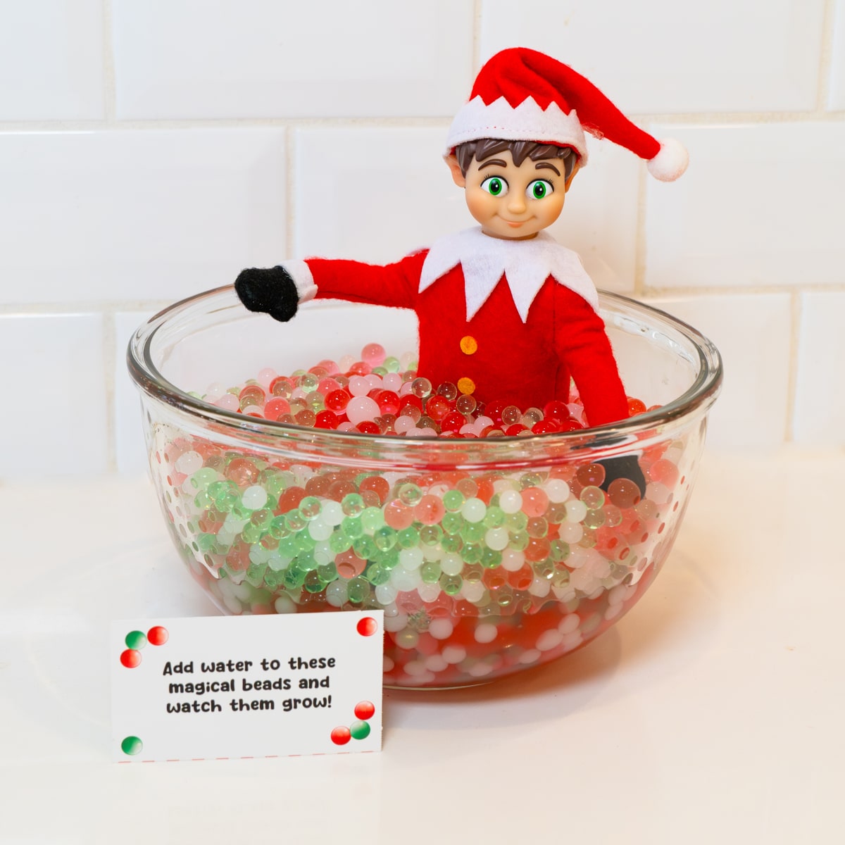 PRE-SALE Christmas Elf Adventure ULTIMATE (Same Kit Each Year)