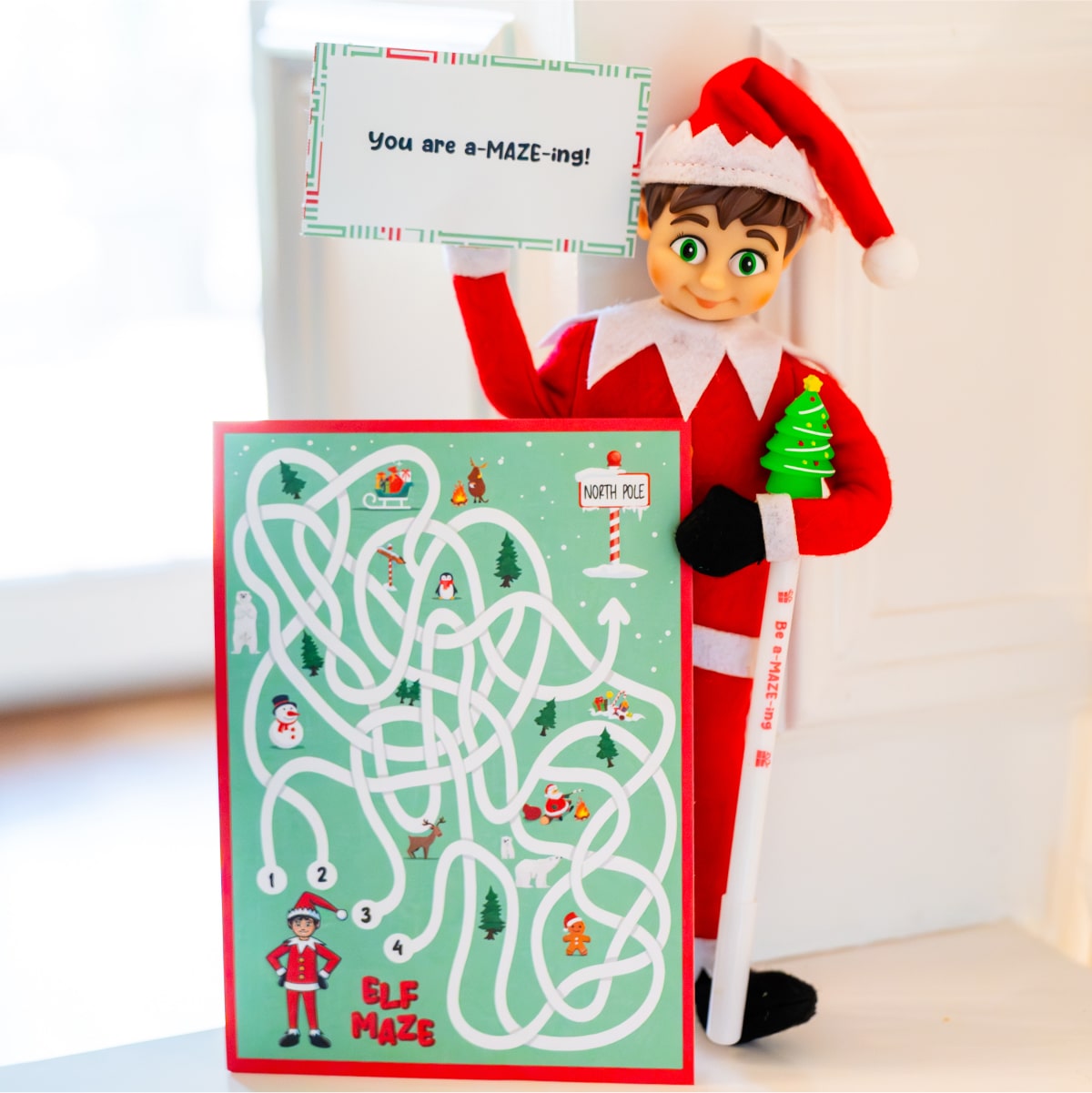 PRE-SALE Christmas Elf Adventure ULTIMATE (Same Kit Each Year)