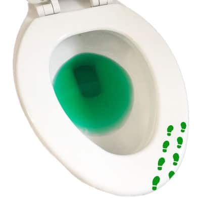 The Sneaky Leprechaun Kit